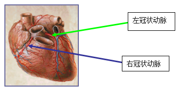 343.png